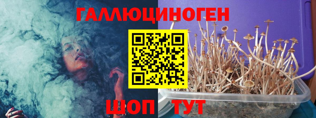 Гусь-Хрустальный  Галлюциногенные грибы мухоморы  Вход с VPN 