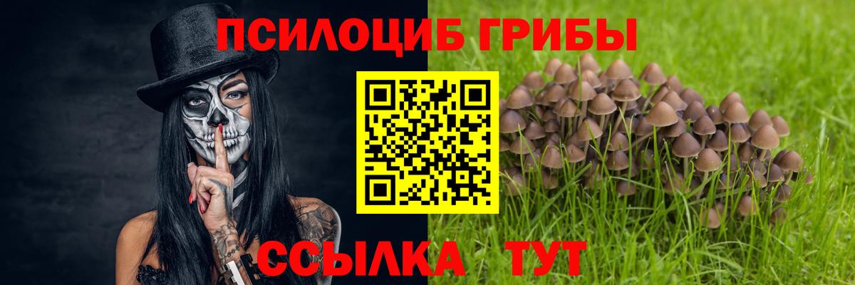 Галлюциногенные грибы прущие грибы Гусь-Хрустальный